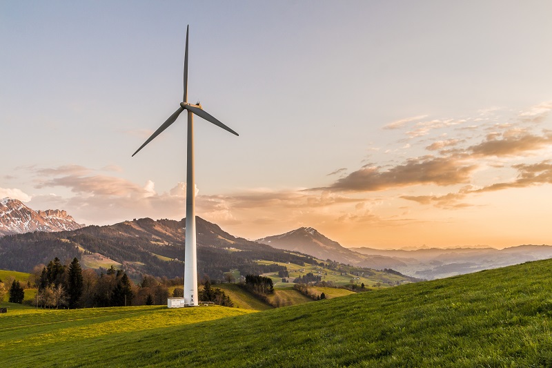 Biomassa: hoe groen is deze energievorm?
